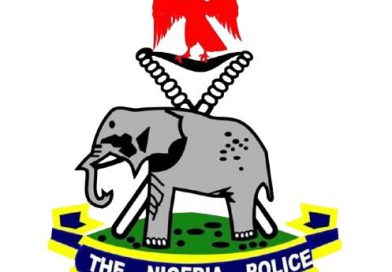 SOWORE ARRESTED OVER CRIMINAL OFFENCES; NO TORTURE IN POLICE CUSTODY